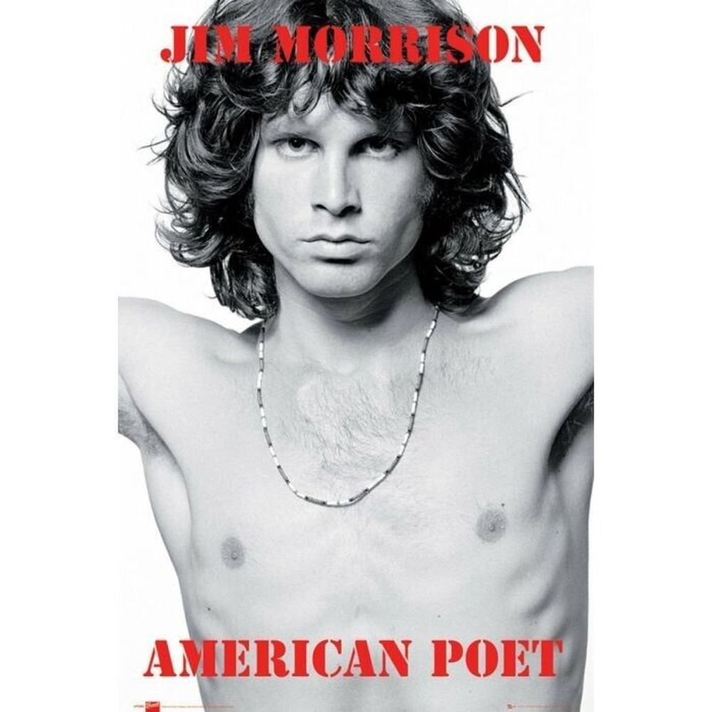 The Doors American Poet Poster 24" x 36" New! Art:Art Posters Style Your Walls